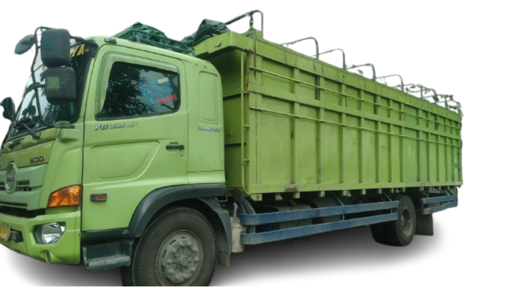 fuso-fuso-long-bak